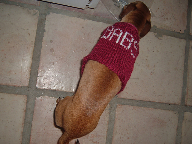 babsDSCF0824_medium2