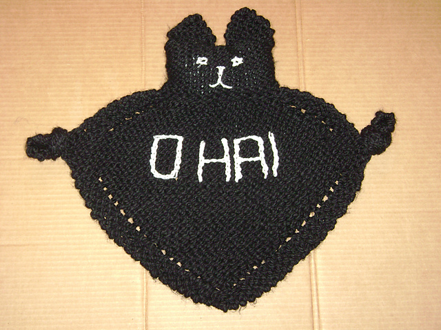 lolcatDSC00078_medium2