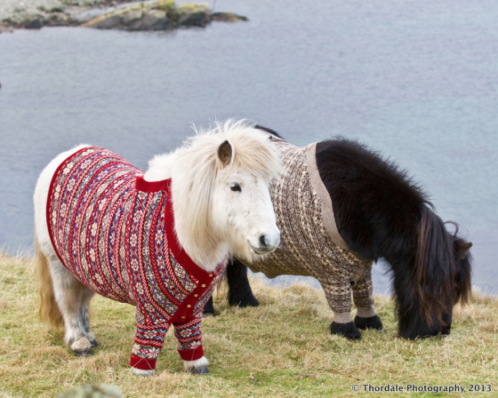 shetlandsweaters